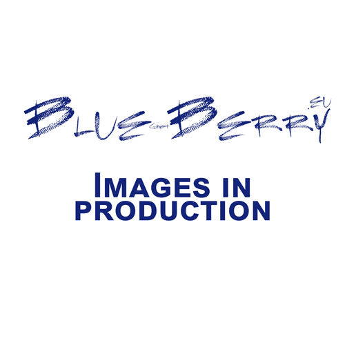 [25004366] Blue-Berry Putztuch MAN-CLC-001-GRY, 15 x 15 cm, Logo